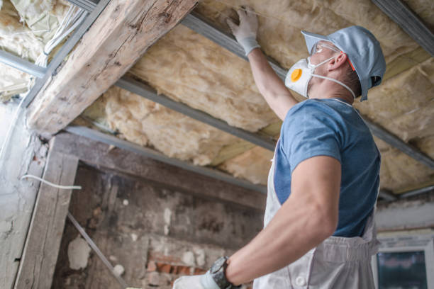 Trusted Mountain View, MO Insulation Contractor Experts