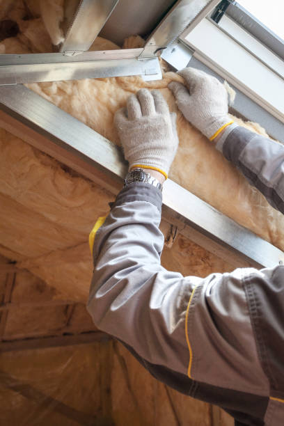 Best Spray Foam Insulation in Untain View, MO