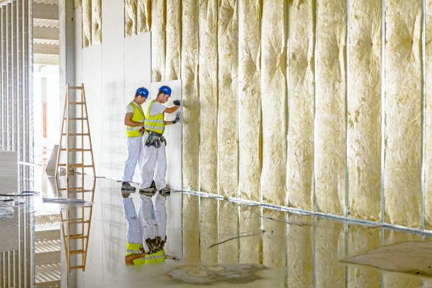 Types of Insulation We Offer in Mountain View, MO